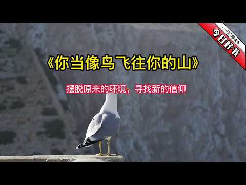 《你当像鸟飞往你的山》摆脱原来的环境，寻找新的信仰