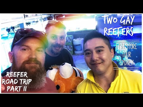 Reefer Road Trip Part II - Fish Store Tour, Sydney