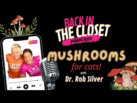 How Mushrooms Help Cats with Dr. Rob Silver | Back In The Closet Podcast