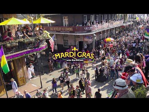 Mardi Gras 2024 Highlight Video