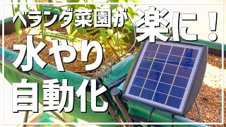 【簡単】毎日の水やりを自動化して、家庭菜園をもっと楽にしてみよう！ / 電源・水道不要 / 電源なしベランダでも水やり自動化する方法