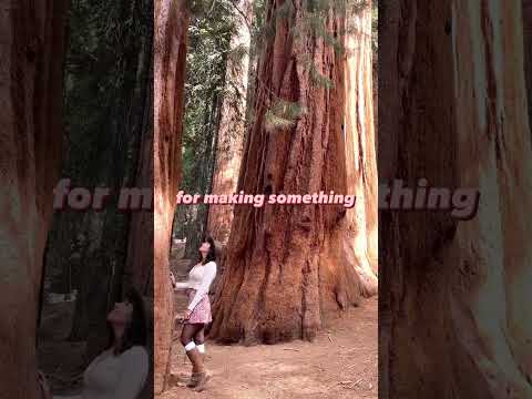 Me every time I visit the Sequoias😍🌲✨•