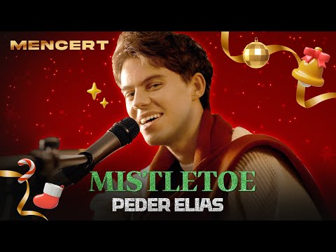 페더 엘리아스(PEDER ELIAS) 'MISTLETOE' COVER [MEN CONCERT] 페더 엘리아스, PEDER ELIAS, CHRISTMAS