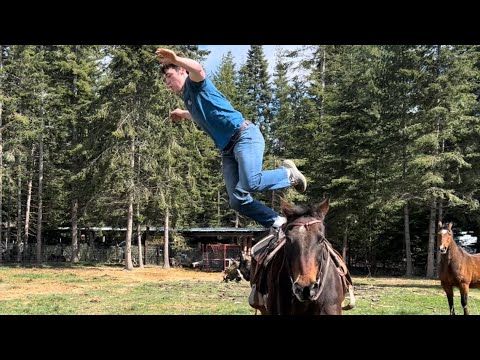 Horse Parkour