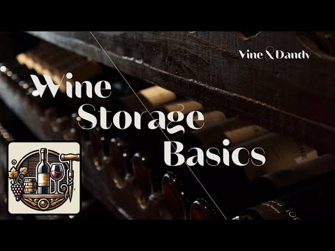 Wine Storage 101 - Keep Your Wine Perfect