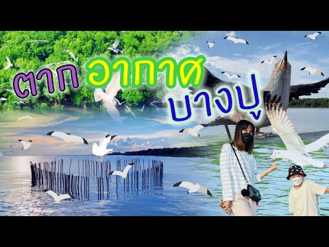 "เที่ยวตากอากาศบางปู" | 📣เดินรับลม ชมนกนางนวล🕊️🕊️