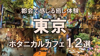 【東京SNS映えボタニカルカフェ12選】都会で感じる癒し体験！暑い夏を気持ちよく過ごせる空間として