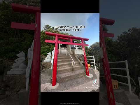 ⛩️39秒眺めてると3日後に奇跡が起こります。