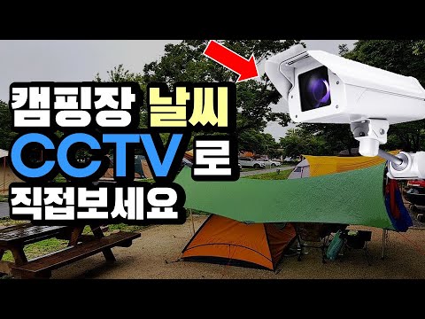 캠핑장 실시간 날씨 CCTV로 보세요 | 기상청보다 정확한 캠핑 CCTV 실시간 확인법 | 캠핑 노하우 | 출발전 필수 확인 | 우중캠핑 | camping