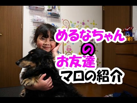 メルナちゃんのお友達！我が家のペット　マロちゃんの紹介です。