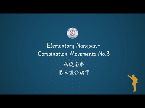 Elementary Nanquan - Combination Movements No.3 with Chinese AI Voice