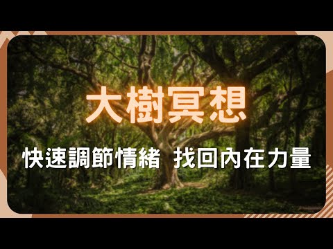 冥想引導|情緒易受他人影響?|關鍵任務前必聽|快速穩定情緒 找回內在力量 | 專業催眠師來幫你  #情緒穩定 #內心踏實 #大樹冥想 #催眠冥想體驗 #大樹冥想