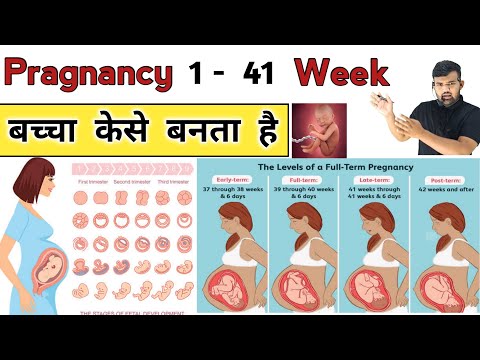 Pragnancy 1 to 41 week | Pragnancy Week | Pragnancy | Gynacology | Nursing knowledge | Doctor | GNM