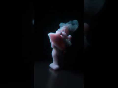 Pop Smoke Hello - 3D Dance Smoke Animation