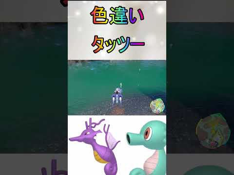 色厳選大量発生なし色違いタッツー、シードラ、キングドラ入手【ポケットモンスターバイオレットスカーレットsv/ゼロの秘宝/碧の仮面/藍の円盤】#shorts #ポケモン #色違い #藍の円盤 #タッツー