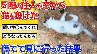 【2ch動物スレ】帰宅時、上の階の住人が猫を投げ捨てるのを目撃→急いで助けに行った結果