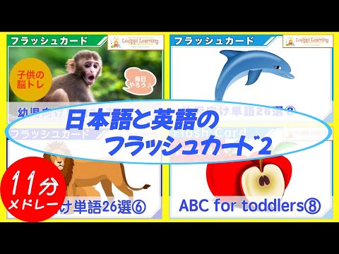 Flashcards Japanese & English Medley Mix2 Baby & Kids Foods Animals Sea Creatures For Toddler Kids