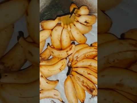 Banana Tina wala upayogalu#