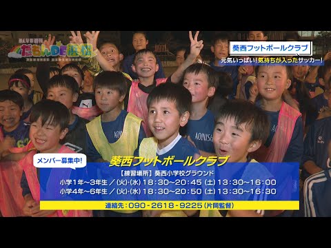 【小学生サッカー】葵西フットボールクラブ！元気が良すぎて大変！‐ みんなの週刊！だもんDE浜松 (2024年5月6日放送分)