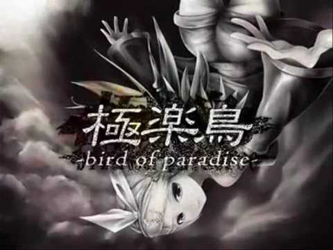 極楽鳥-bird of paradise-歌わせて頂きました　てん