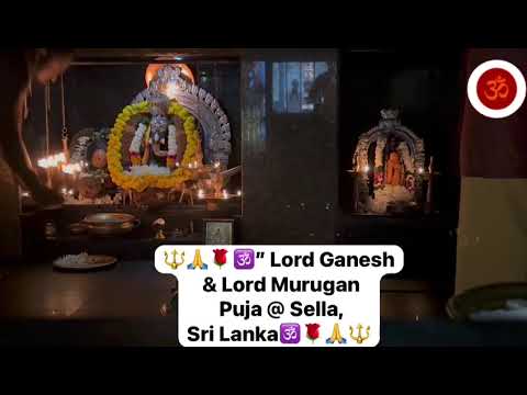 Lord Ganesh & Lord Murugan Puja#god #ganesh #lordganesha #murugandevotes #murugantemple