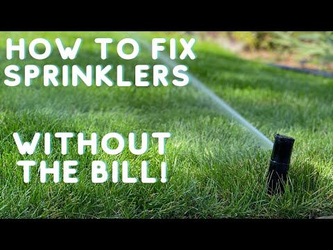 How to replace sprinkler heads in your lawn.