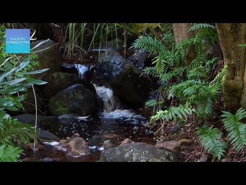 Quiet Classroom Music For Children - Relaxing stream - Water sounds and calming music