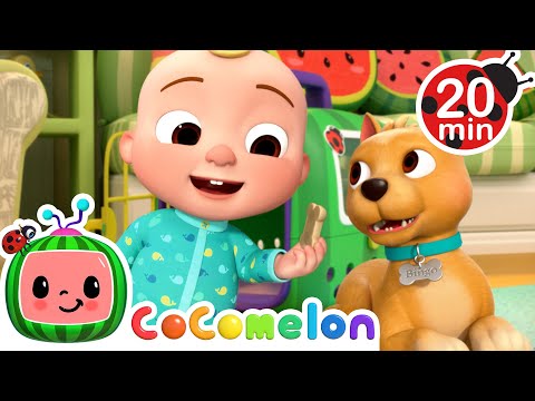 JJ Takes Care of Bingo: Fun Pet Day! | 🍉 CoComelon - JJ's Baby Songs 🎶