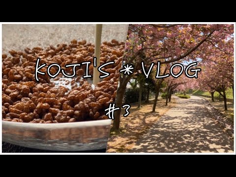 【朝ごはんはチョコクリスピー】/ vlog#3 / 一人暮らし / おうちグルメ / 日常 / 暮らし / ウォーキング / 春日和