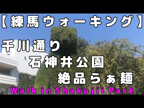 [Vlog] Japan Tokyo  Nerima Walking Senkawa-street Shakujii Park Ramen Lunch (Ramen kazuki)