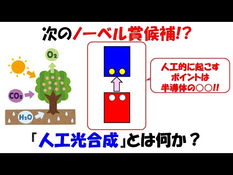 【次期ノーベル賞候補】脱炭素社会へのカギを握る人工光合成とは何かをわかり易く解説【酸化還元】【水の電気分解】