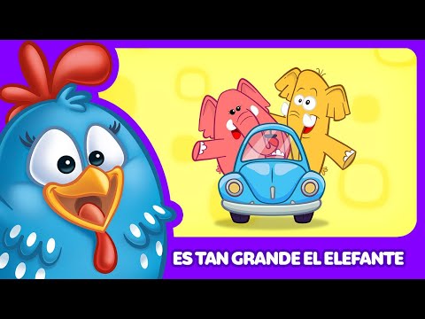 Es tan grande el Elefante - Gallina Pintadita 5 - Canciones infantiles de la Gallina