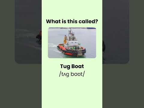 Can You Name These 10 Types of BOATS? #shorts #facts #short #quiz #learn