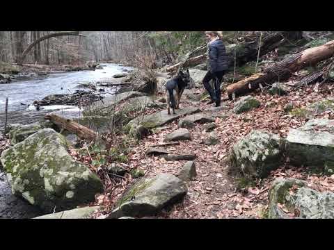 Black River off Leash hiking with Our German Shepherd Hiking Video Series