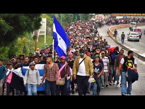 "The Border is Closed" - Misinformation at the Southern Border