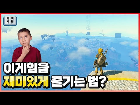 공략을 찾아 헤매는 당신께 드리는 젤다를 제대로 즐기는 방법(노스포) [왕국의 눈물]