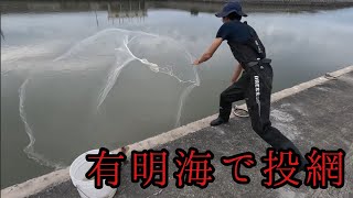 有明海の最高の魚を投網で狙う！