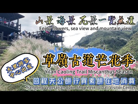 草嶺古道芒花季 I 宜蘭頭城大里遊客中心 I 大里天公廟 I 天公餅行 2023 Yilan Toucheng Caoling Miscanthus Season