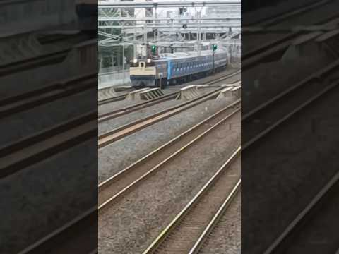 [湘南新宿ライン]東京臨海高速鉄道世代交代の第一歩:71000形が甲種輸送で通過！