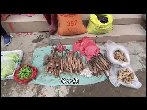 533 广东阳春: 八甲镇的菜市场 (阳春客家话) Guangdong Yangchun: Market at Bajia Town (Yangchun Hakka)