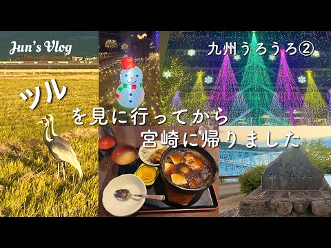 【熊本•鹿児島•宮崎Vlog】九州うろうろ②ツルを見に行ってから宮崎に帰りました