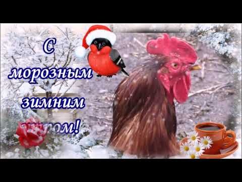 С морозным зимним утром!Красивое пожелание с Добрым утром!Музыкальная открытка.