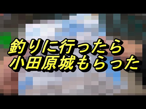 【神奈川釣り】釣りに行ったら小田原城もらった