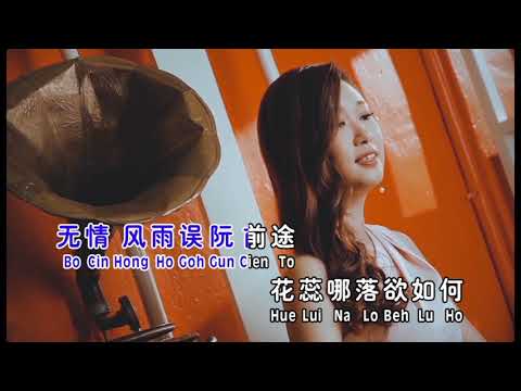 雨夜花 ~ 黄嘉雯 MV