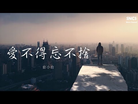 白小白 - 愛不得忘不捨 | 高音質動態歌詞