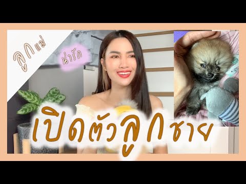 เปิดตัวลูกชายสุดที่รัก ( น้องฮาเล่ ) สุนัขพันธุ์ ปอมเมอเรเนียน