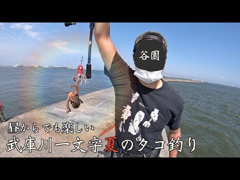 【武庫川一文字】朝からじゃなくても楽しい!! 夏のタコ釣り【武庫川渡船】