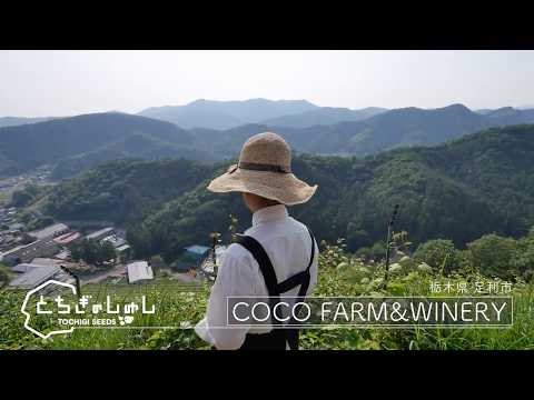 COCO FARM&WINERY（ココ・ファーム・ワイナリー）｜足利市｜栃木県｜とちぎのしゅしチャンネル