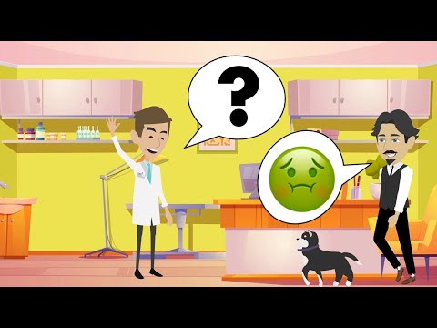 Learn Italian | Visit to the vet | Dialogue in Italian with subtitles