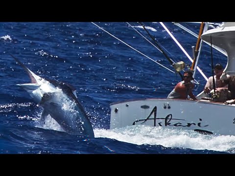 実際に釣れた巨大すぎる海洋生物８選